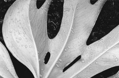 服務熱線：安居寶 400-0300155  上海監控安防弱電 1376-456-8642